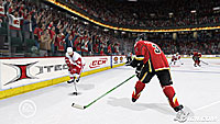 NHL (1).jpg